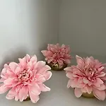 Villa Ganze Chateau Thor - Bis Zu 22 Personen *