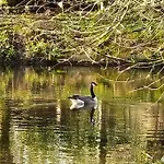 Ganze Chateau Thor - Bis Zu 22 Personen Villa