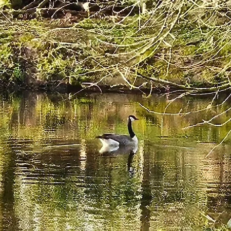 Ganze Chateau Thor - Bis Zu 22 Personen Villa