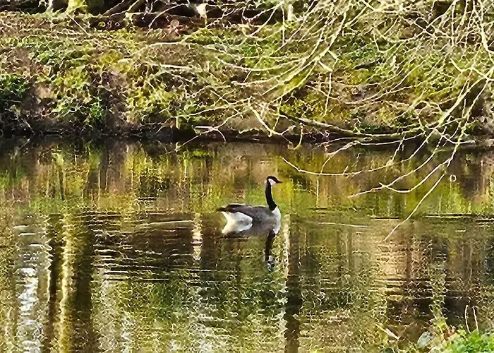 Ganze Chateau Thor - Bis Zu 22 Personen Villa